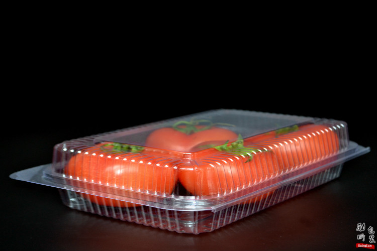 长方形塑料沙拉盒
