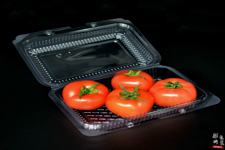 一次性塑料沙拉盒